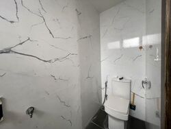 Suites @ Topaz (D12), Apartment #517186101
